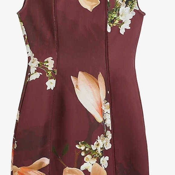 Ted Baker Brown Floral Mini Dress - Picture 3 of 5